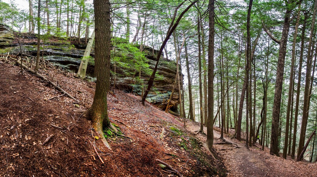 Whispering Cave, Hocking Hills State Park, Ohio
