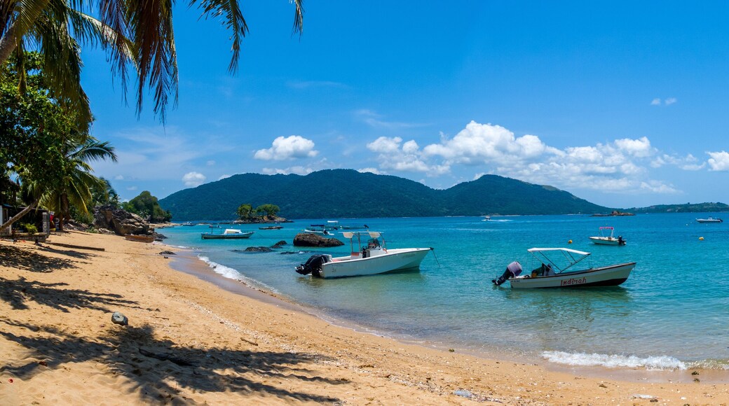 Coastline / Beach of Nosy Komba Island lined with palm trees and pirogue Madagascar close to Nosy Be