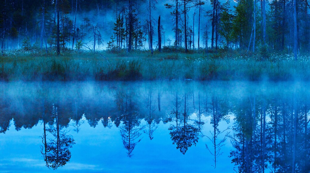 Landschaft in Finnland, Kajaani, Karelien