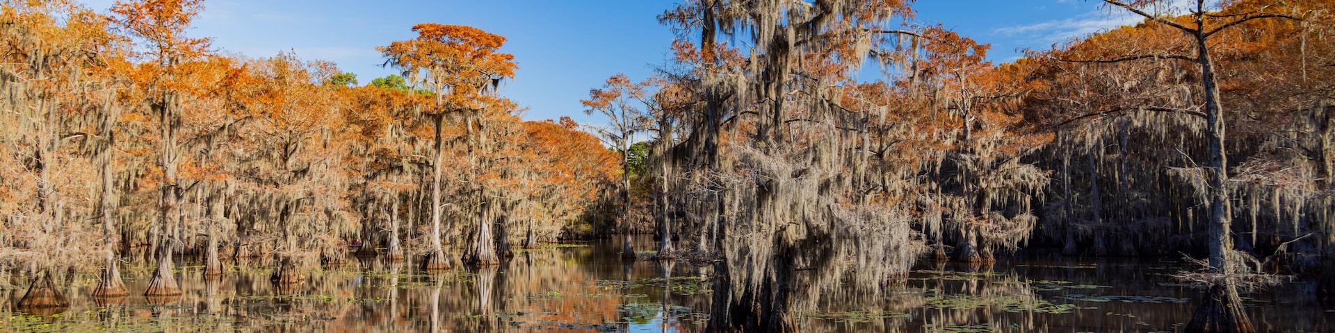 Sunny view of Caddo Lake State Park stunning fall colors.