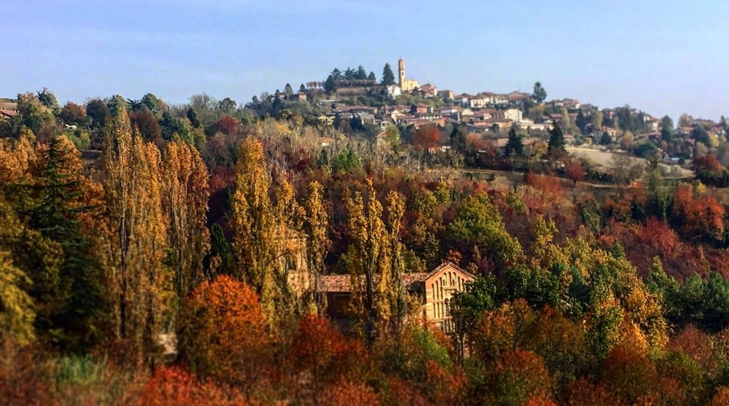 The abbey of Santa Maria di Vezzolano is a religious building in Romanesque and Gothic style, among the most important medieval monuments of Piedmont.