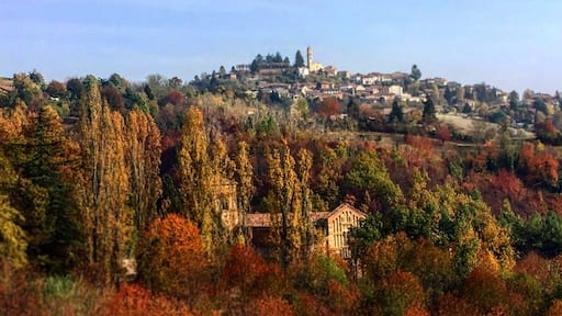 The abbey of Santa Maria di Vezzolano is a religious building in Romanesque and Gothic style, among the most important medieval monuments of Piedmont.