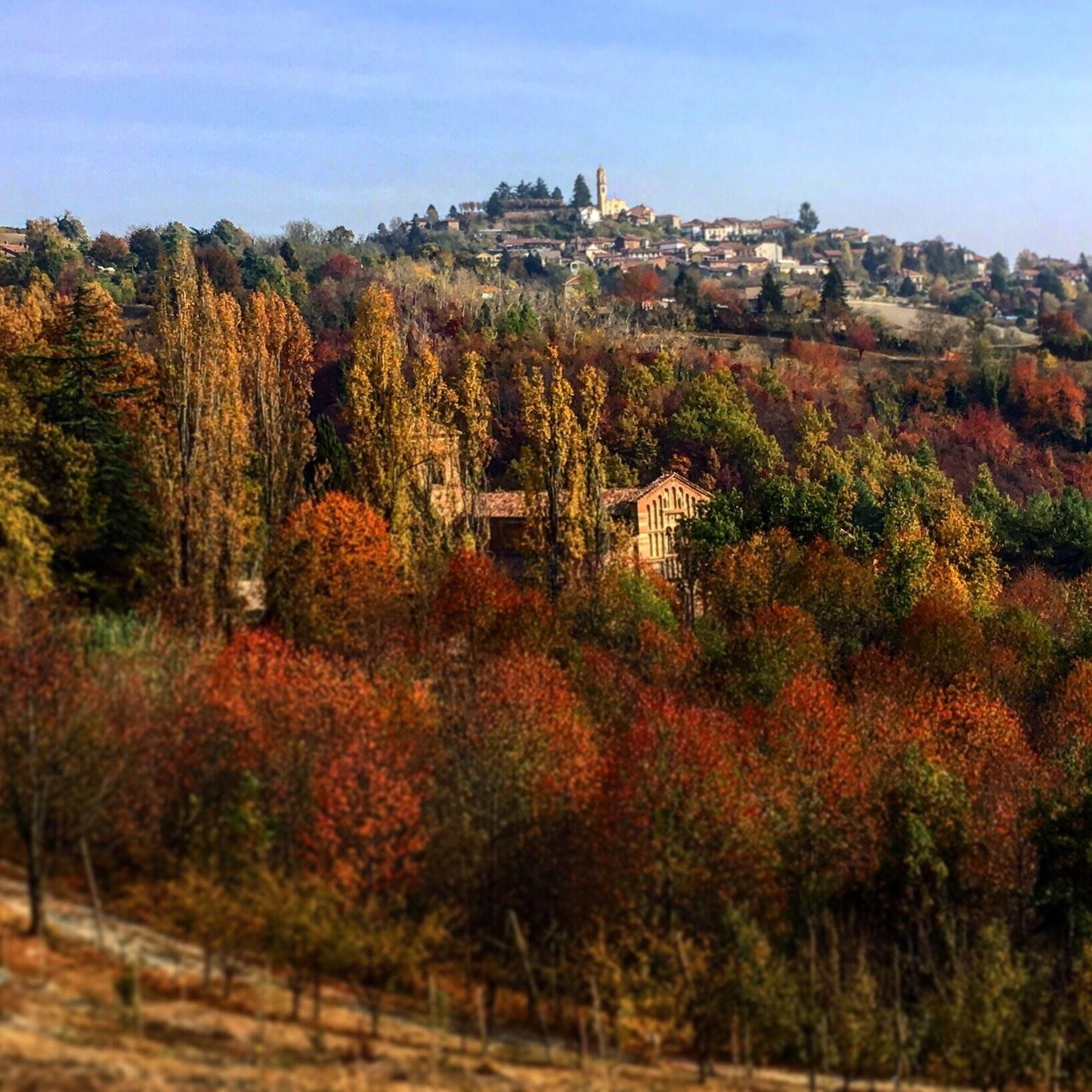 A hillside village with autumn foliage, a prominent church, and a tower in the background.