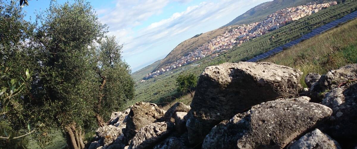 A rocky hillside with olive trees, a distant town, and solar panels.
