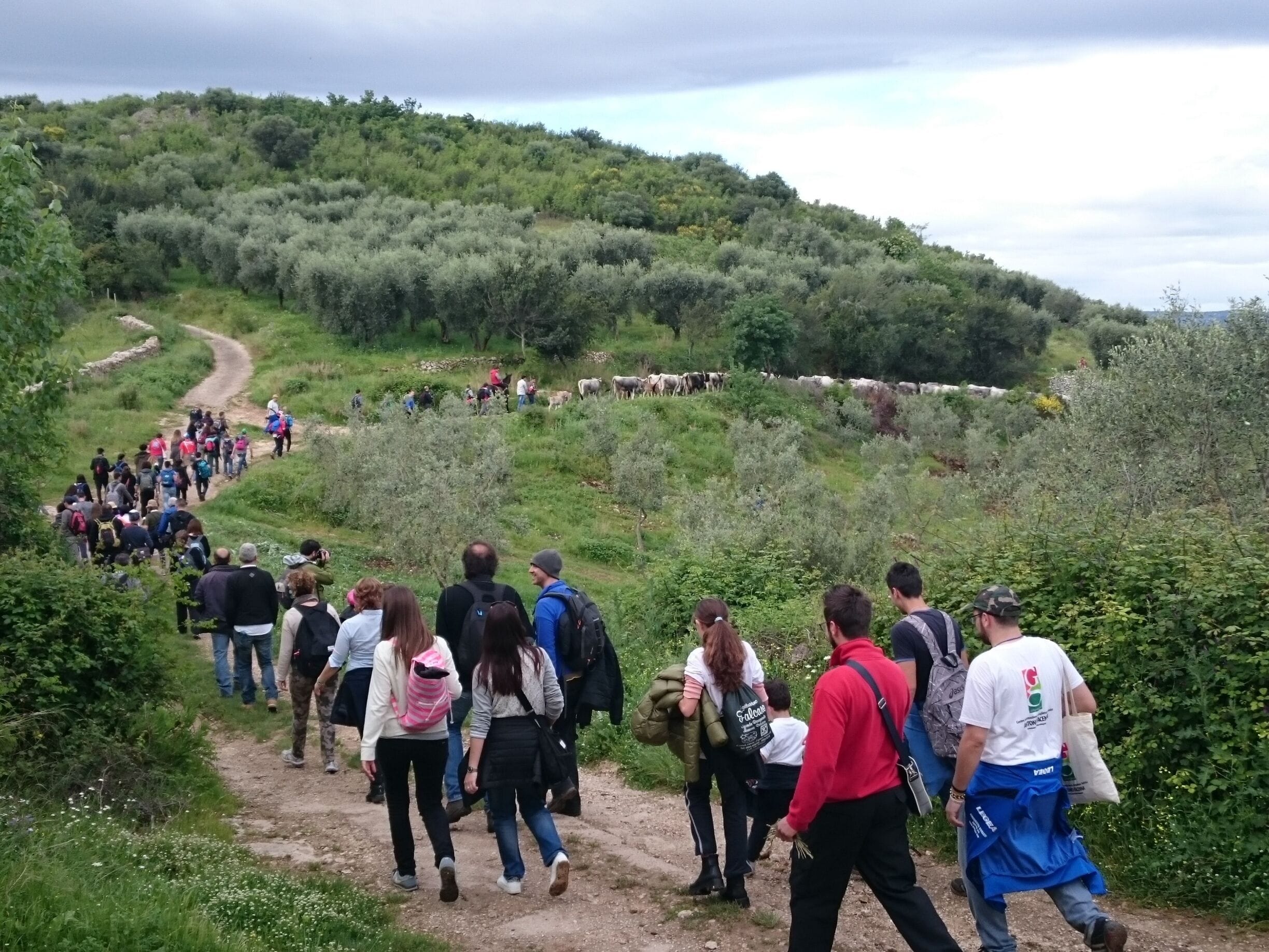 Ecco la festa della transumanza, un'esperienza unica per vivere un'altra dimensione della #Puglia #Gargano #Carpino #transumanzaroots #weareinpuglia  