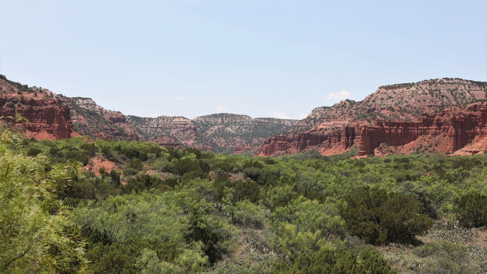 A rugged canyon landscape with red rock formations and dense green vegetation.