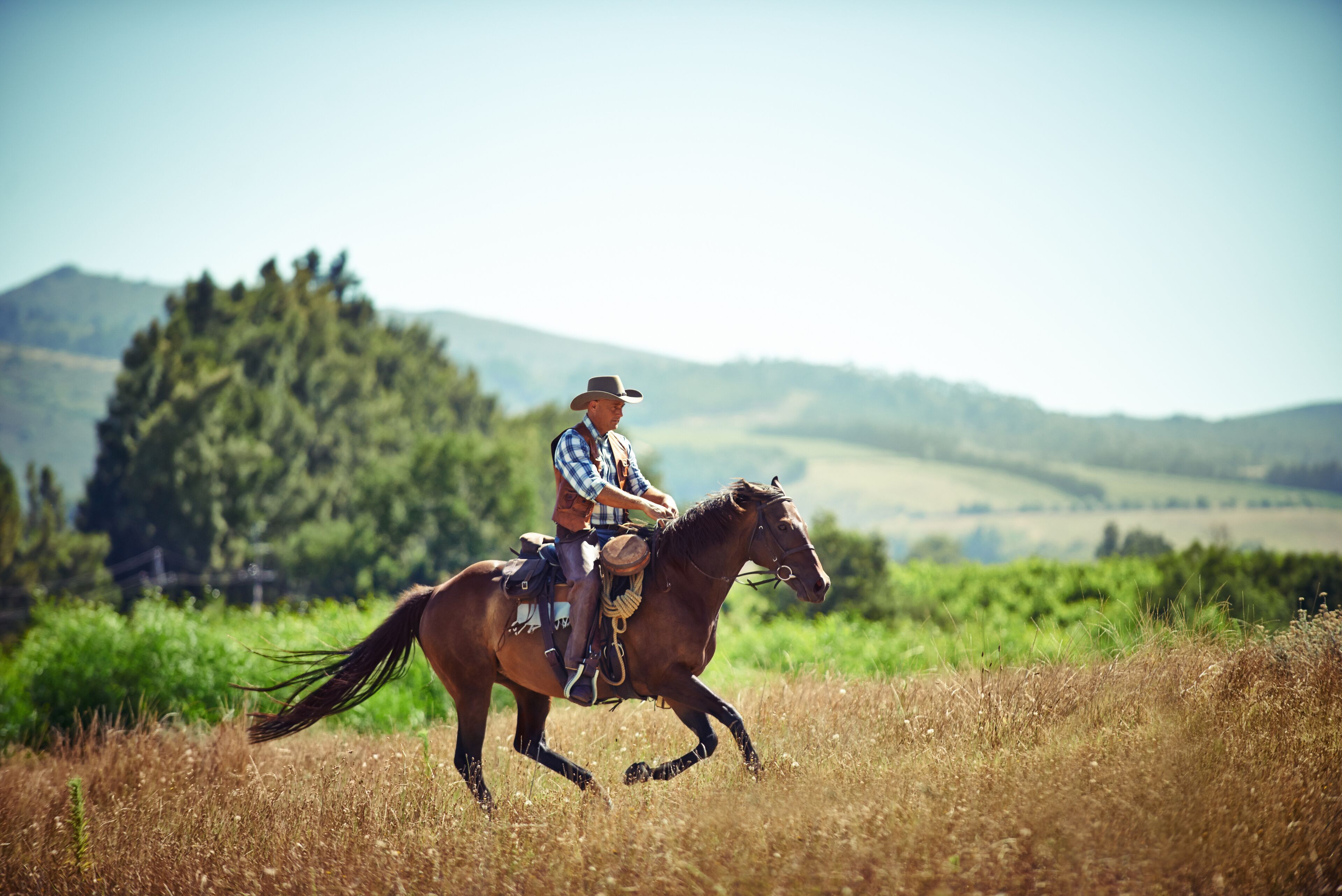 Cowboy, fast and man riding horse with saddle on field in countryside for equestrian or training. Nature, summer and speed with mature horseback rider on blue sky at ranch outdoor in rural Texas