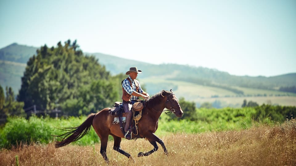 A person riding a horse through a grassy field with hills in the background.