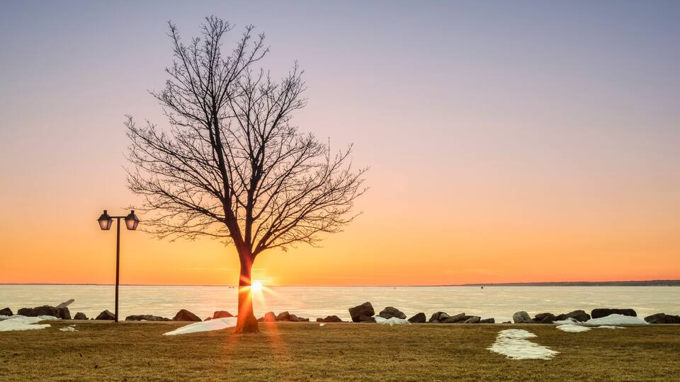 A tree with bare branches, a street lamp, and a sunset over a body of water with rocks in the foreground.