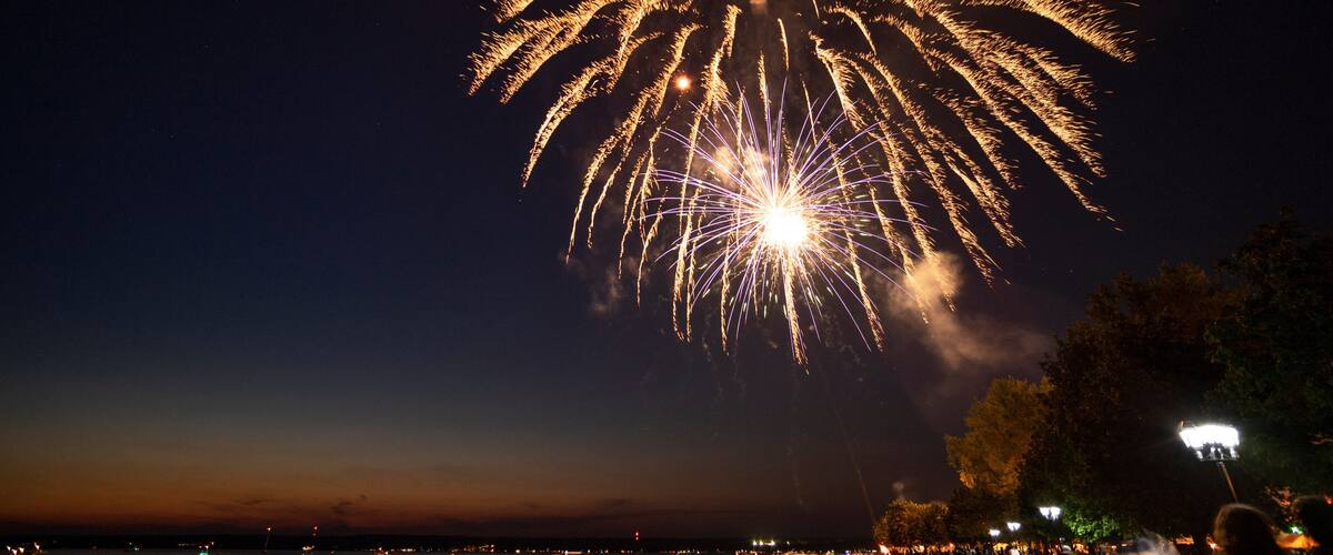 A night sky with a large, bright firework display.