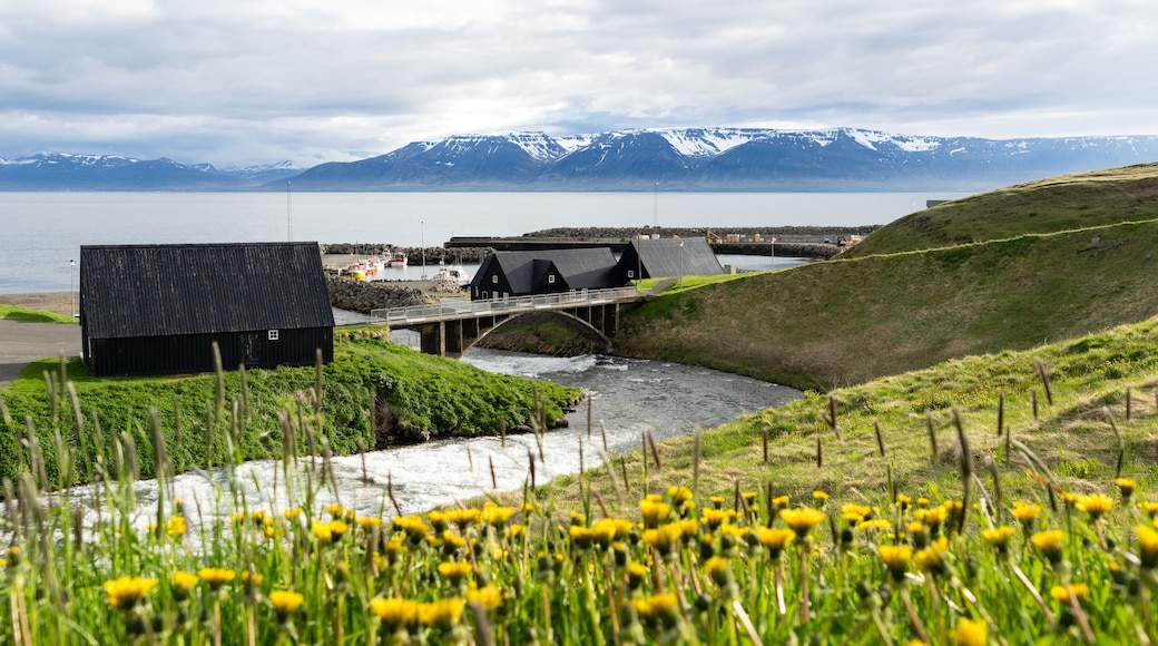 Hofsos is an old trading center, Iceland