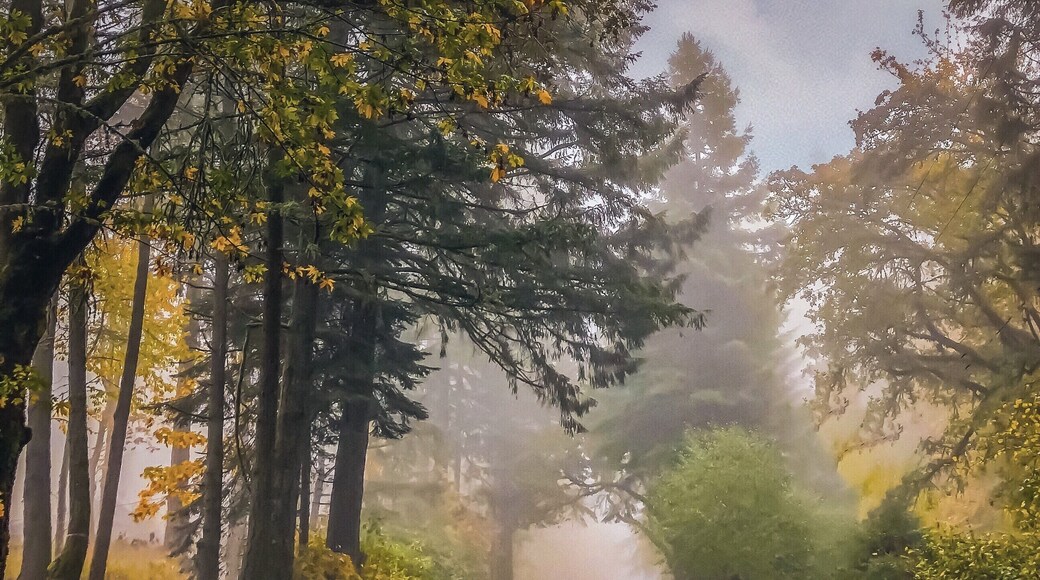 #OnTheRoad Oregon’s country roads are beautiful.