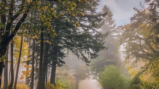 #OnTheRoad Oregon’s country roads are beautiful.