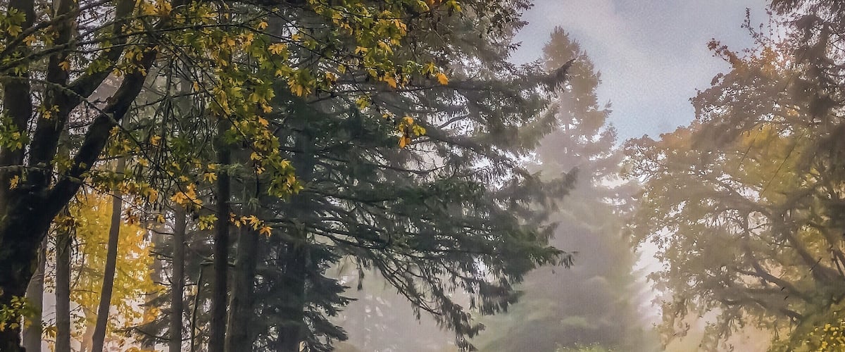 #OnTheRoad Oregon’s country roads are beautiful.