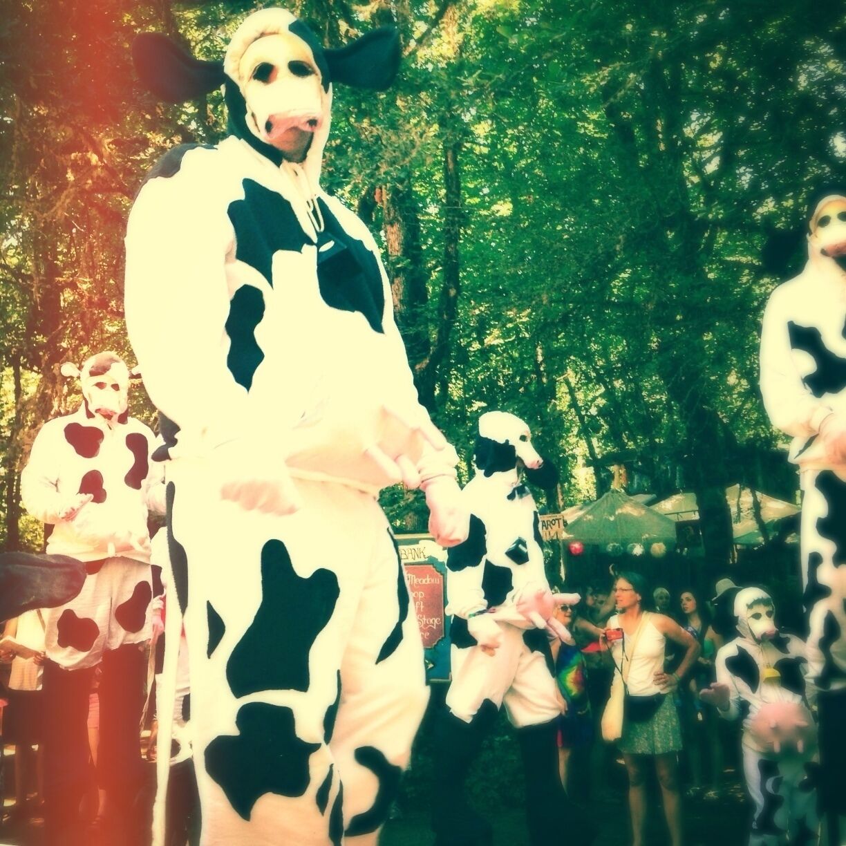 Knee deep in creep. Cow creep. Cow tipping. Mooooo

The Oregon Country Fair, an outgrowth of the counter-culture movement, has been going strong for over 40 years. This non-profit, 3 day, festival features hundreds of entertainers and performers, artisans and gourmet food vendors. 

There are magical surprises at every corner, a lively parade that roams around the grounds several times a day, and plenty of shade and secret coves to take a nice respite from the ongoing festivities. 

Event goers are encouraged to come in costume, but both costumes and face/body paint are available by vendors inside the Fair. Really you are encouraged to come as you are or whoever you wish to be. Toplessness is allowed and various forms of nudity are often witnessed. 

I've partook in some fantastic festivals all over the world, but it's true what they say, there's no place like home...The Oregon Country Fair, or simply "Fair," is truly world class. 

What a beautiful, wild, and fun weekend with the kindest, most loving weirdos you'll ever meet! 

"The Oregon Country Fair creates events and experiences that nourish the spirit, explore living artfully and authentically on Earth, and transform culture in magical, joyous and healthy ways." 

Held annually every 2nd weekend of July, Fri-Sun. It's best to camp in one of the nearby campsites: Darling Reunion (The Wild One), Carefree Farms (The Calm One).