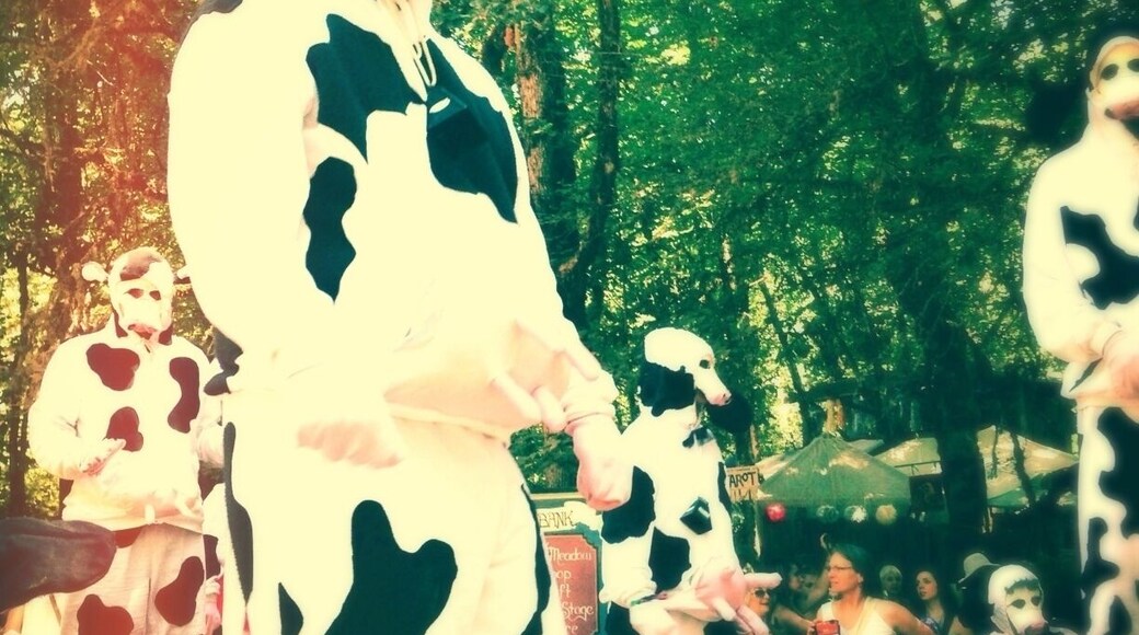 Knee deep in creep. Cow creep. Cow tipping. Mooooo
The Oregon Country Fair, an outgrowth of the counter-culture movement, has been going strong for over 40 years. This non-profit, 3 day, festival features hundreds of entertainers and performers, artisans and gourmet food vendors.
There are magical surprises at every corner, a lively parade that roams around the grounds several times a day, and plenty of shade and secret coves to take a nice respite from the ongoing festivities.
Event goers are encouraged to come in costume, but both costumes and face/body paint are available by vendors inside the Fair. Really you are encouraged to come as you are or whoever you wish to be. Toplessness is allowed and various forms of nudity are often witnessed.
I've partook in some fantastic festivals all over the world, but it's true what they say, there's no place like home...The Oregon Country Fair, or simply "Fair," is truly world class.
What a beautiful, wild, and fun weekend with the kindest, most loving weirdos you'll ever meet!
"The Oregon Country Fair creates events and experiences that nourish the spirit, explore living artfully and authentically on Earth, and transform culture in magical, joyous and healthy ways."
Held annually every 2nd weekend of July, Fri-Sun. It's best to camp in one of the nearby campsites: Darling Reunion (The Wild One), Carefree Farms (The Calm One).