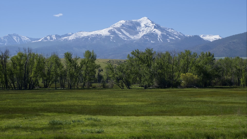 A snow-capped mountain range with a foreground of green grass and trees.