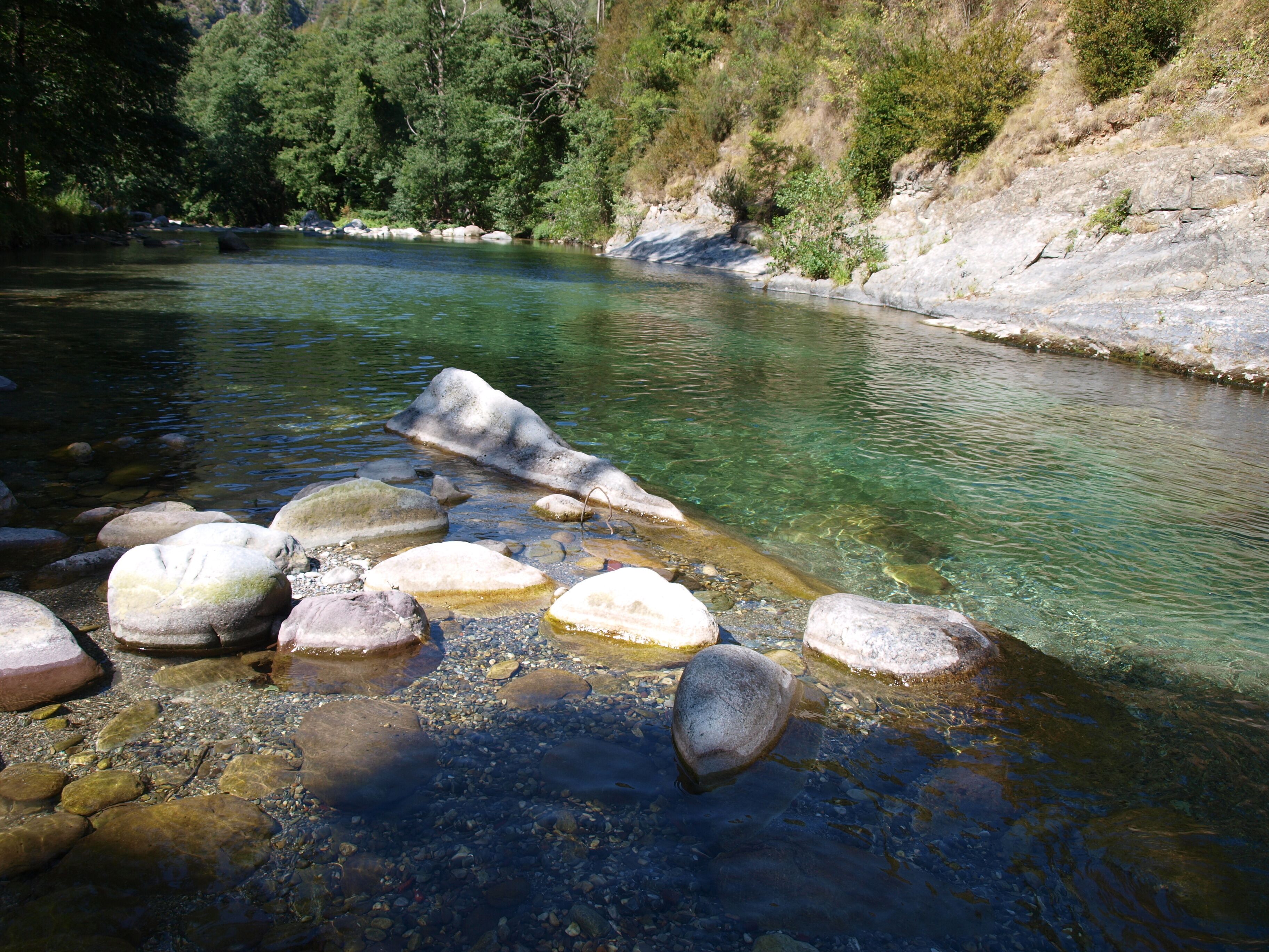 A clear river with rocks and a forested hillside.