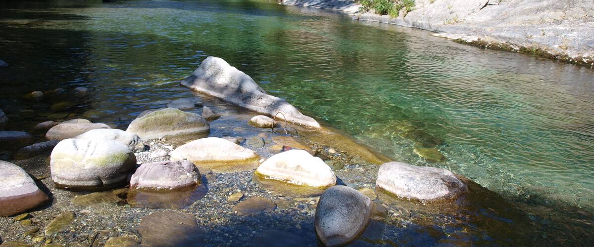 A clear river with rocks and a forested hillside.