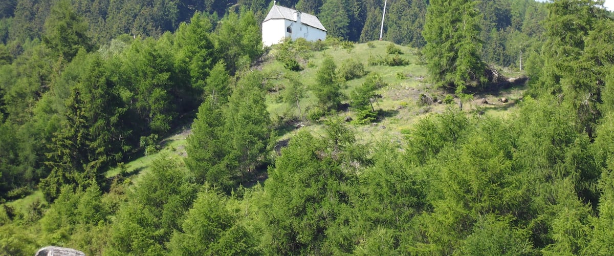 A white church on a hill surrounded by dense forest.