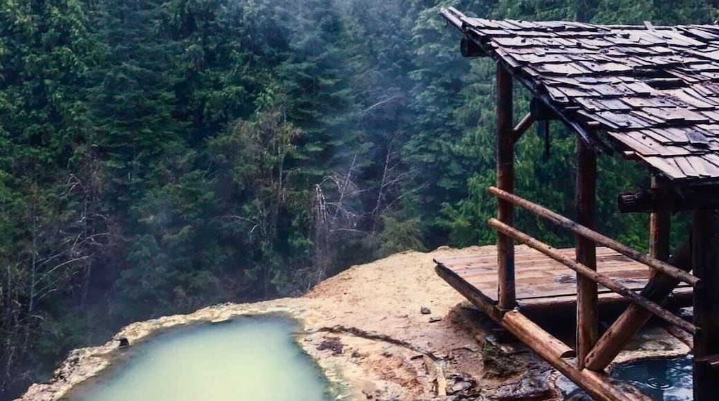 One of the best hot springs in Oregon! #oregon #pnw