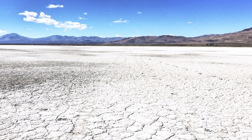 The Alvord Desert is a desert located in Harney County, in southeastern Oregon in the western United States. It is roughly southeast of Steens Mountain.
During the dry season, the surface is flat enough to drive across, or land small aircraft on. #roadtrip #bucketlist