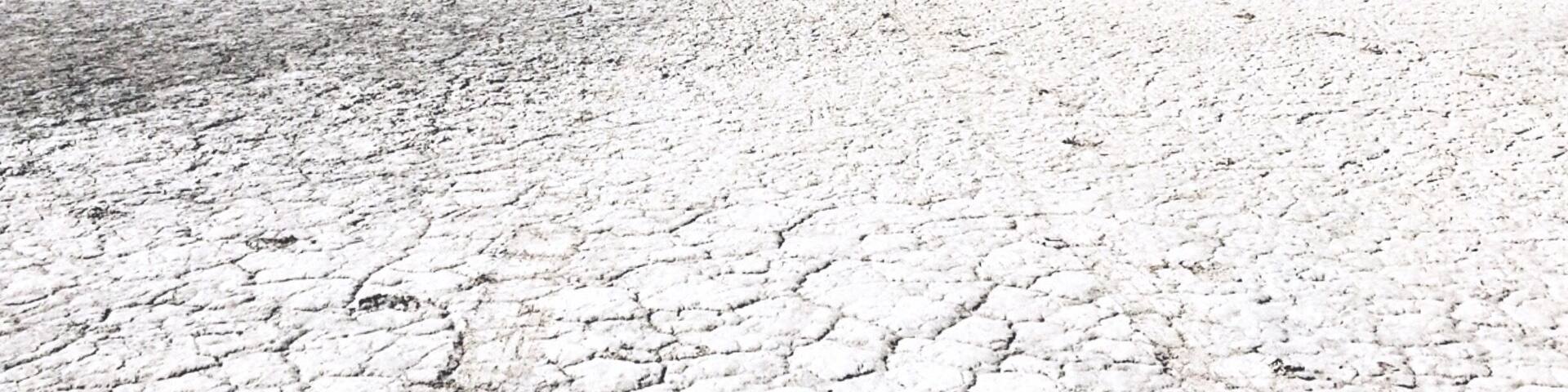The Alvord Desert is a desert located in Harney County, in southeastern Oregon in the western United States. It is roughly southeast of Steens Mountain.
During the dry season, the surface is flat enough to drive across, or land small aircraft on. #roadtrip #bucketlist