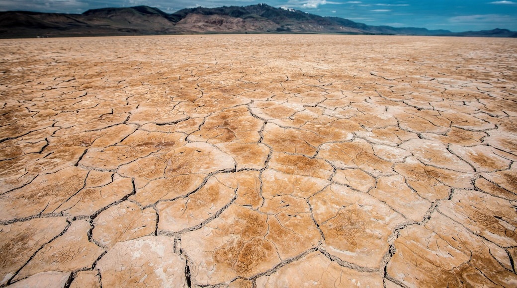 Be considerate once you arrive on the Alvord Playa. Each year I go there I find it more traversed than the last. Be respectful of this fragile environment so others can enjoy its beauty.
#Oregon #extremeOregon #AlvordDesert