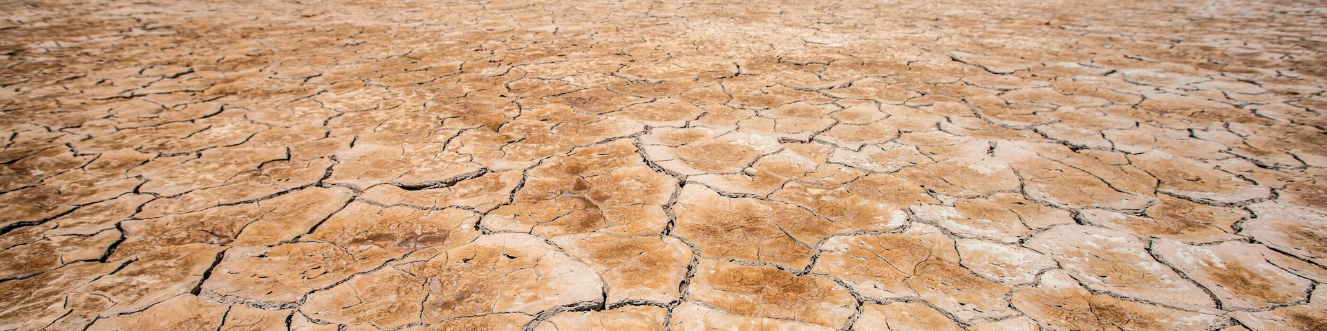 Be considerate once you arrive on the Alvord Playa. Each year I go there I find it more traversed than the last. Be respectful of this fragile environment so others can enjoy its beauty.
#Oregon #extremeOregon #AlvordDesert