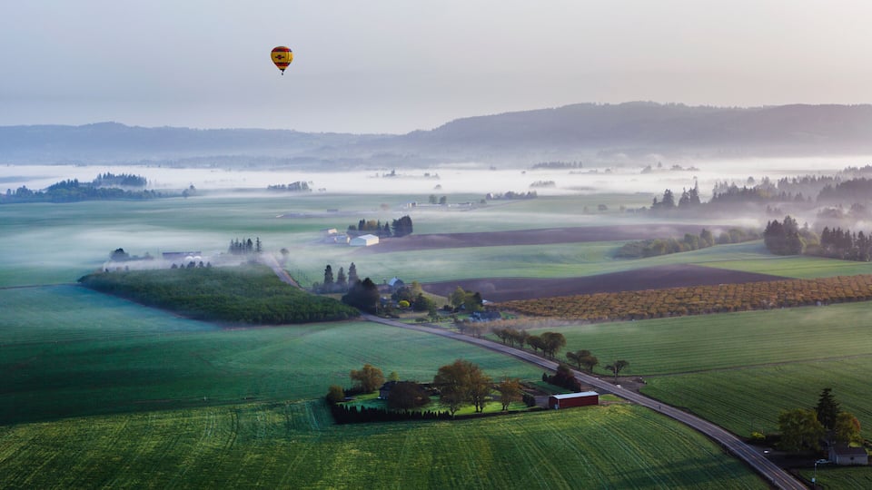 A rural landscape with fields, a road, and a hot air balloon in the distance.