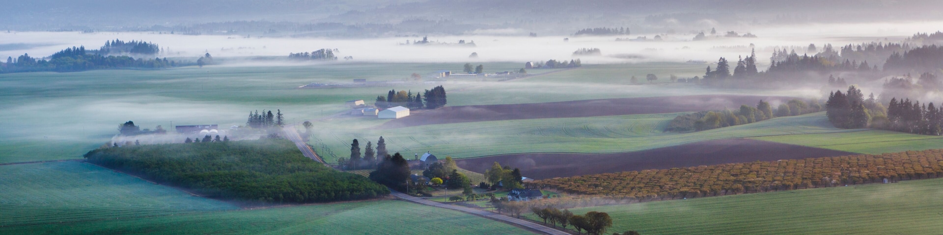 A rural landscape with fields, a road, and a hot air balloon in the distance.