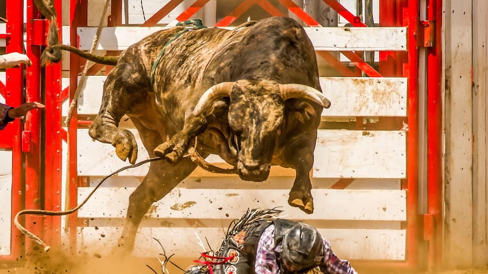 A rodeo scene with a bull and a rider in a pit.