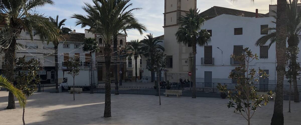 A plaza with palm trees, a clock tower, and buildings with balconies.
