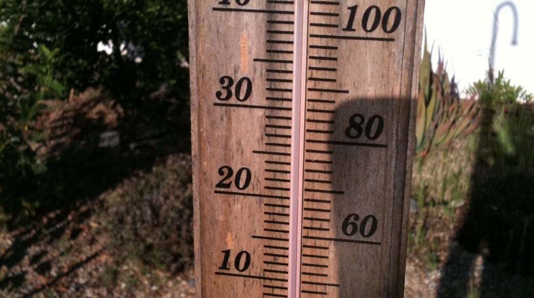 10:30am and 43c in the desert of Limaria, Albox. Tad warm for that time of day. Certainly a secluded part of Andalucia to see. Way out in the mountains.