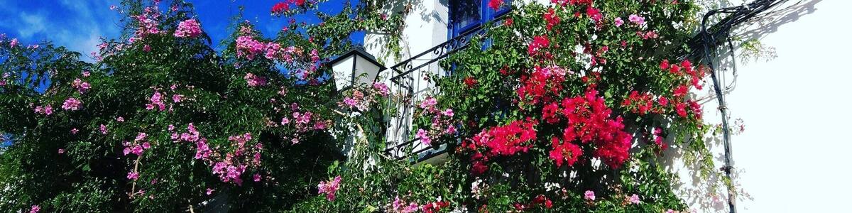 How's that for mid December? 23° sun shining brightly & the beautiful traditional white village of Bédar (just outside Mojacar). 👍😀