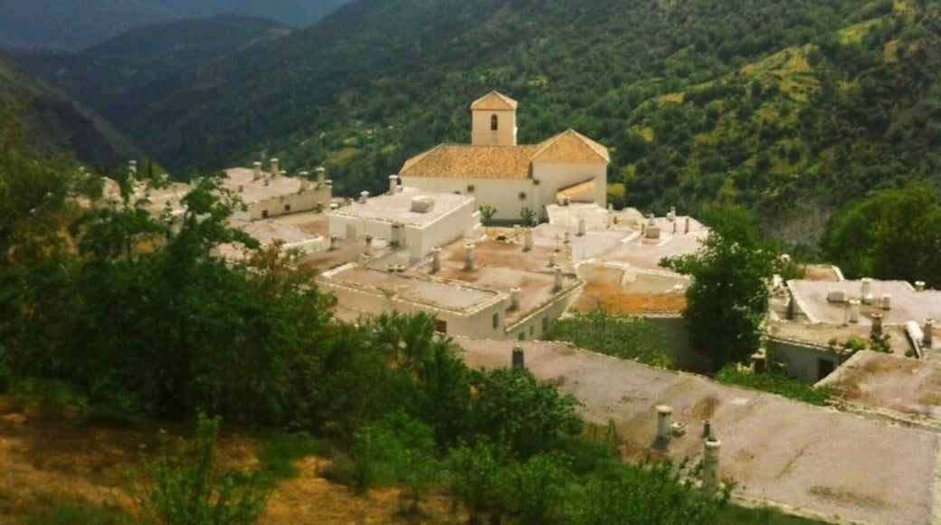 #TroveOn
Bubión is one of many of the small, white-washed villages in the Alpujarras, about an hour bus ride from Granada, Spain. This shot was taken from the trail that traverses the hillsides, connecting these tiny, serene little hamlets, surrounded by rolling hills and gorgeous greenery. Go during the afternoon, around siesta time, and you'll find the zigzagged cobblestone streets nearly deserted, leaving Bubión and its neighbors tranquil and, truly, breathtaking visions in white.
This image was taken in 2013 on an iPhone 4, and recently edited on an iPhone 5s with the VSCOcam app.