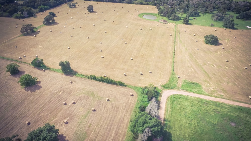 Vintage aerial prairie field at Texas Hill Country sunny day. Bale hay bales strewn across the farm after harvest. Rural landscape pasture Texas ranch farmland in summer time. Agriculture background