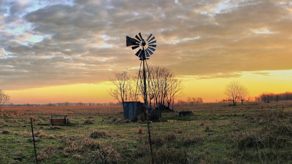 A windmill in a field with a sunset in the background.