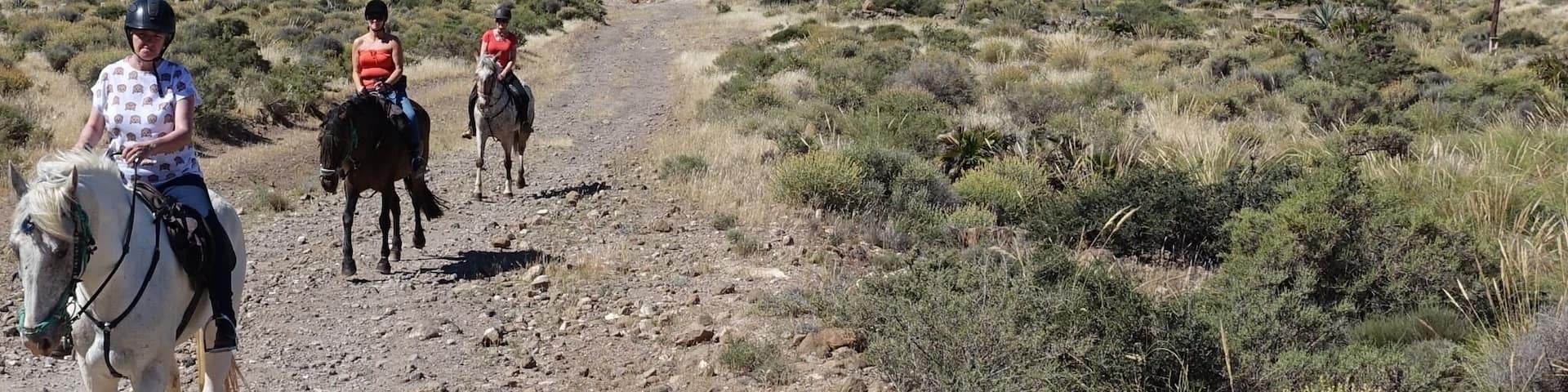 My recent trip to Andalucia, working as a horse trekking guide - we ride from a ranch where the 'Spaghetti Western' movies were filmed - amazing scenery!