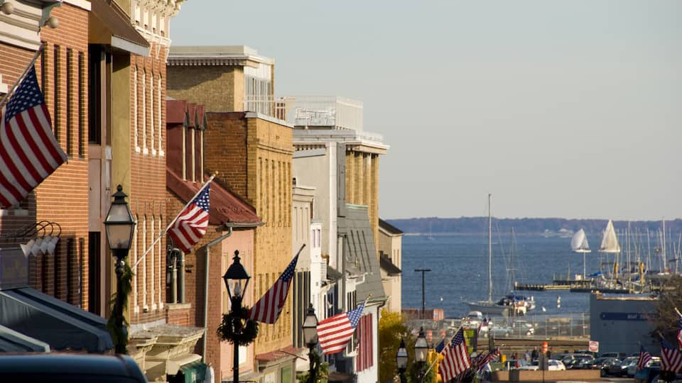 A coastal town with American flags, historic buildings, and a marina with sailboats.