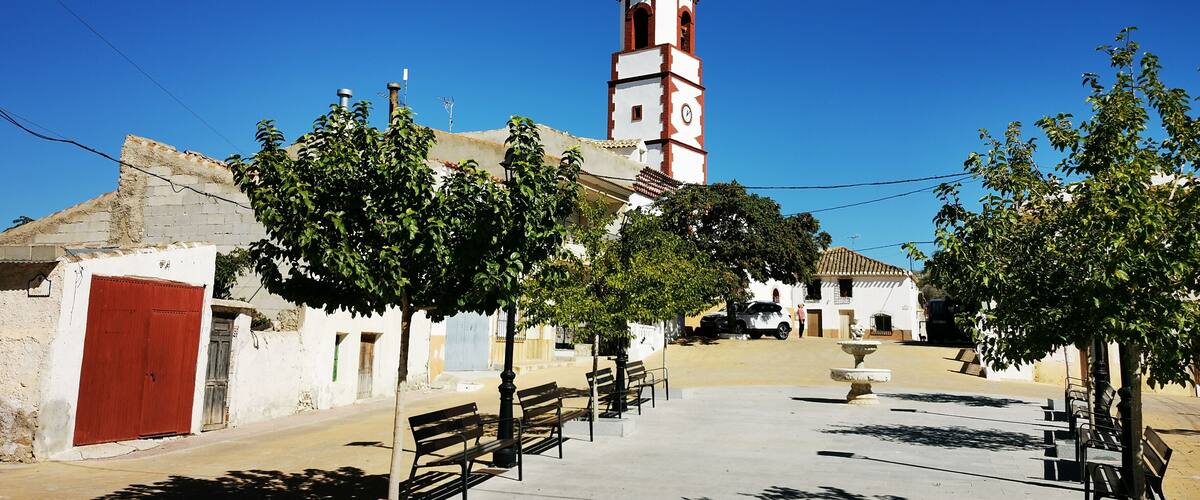 A church with a clock tower, benches, and trees in a sunny courtyard.