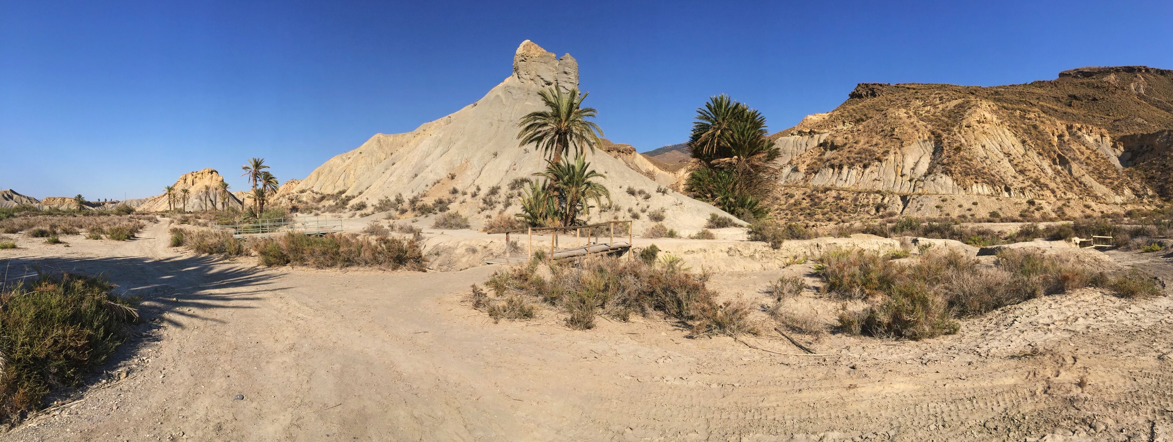 A desert landscape with a prominent rock formation, palm trees, and sparse vegetation.