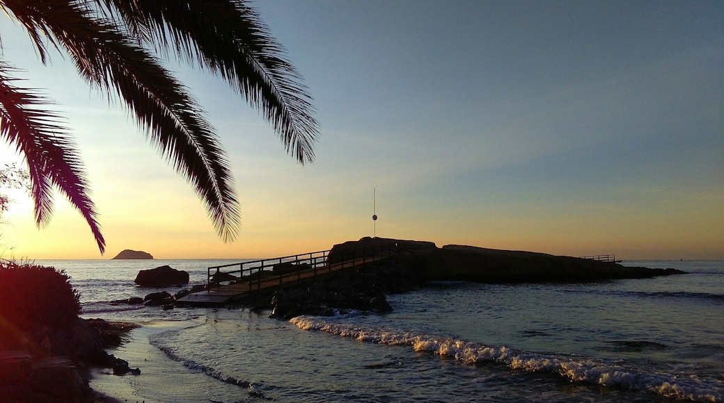 February sunrise on the beach this morning after my run. Paradise in #FindingtheUniverse