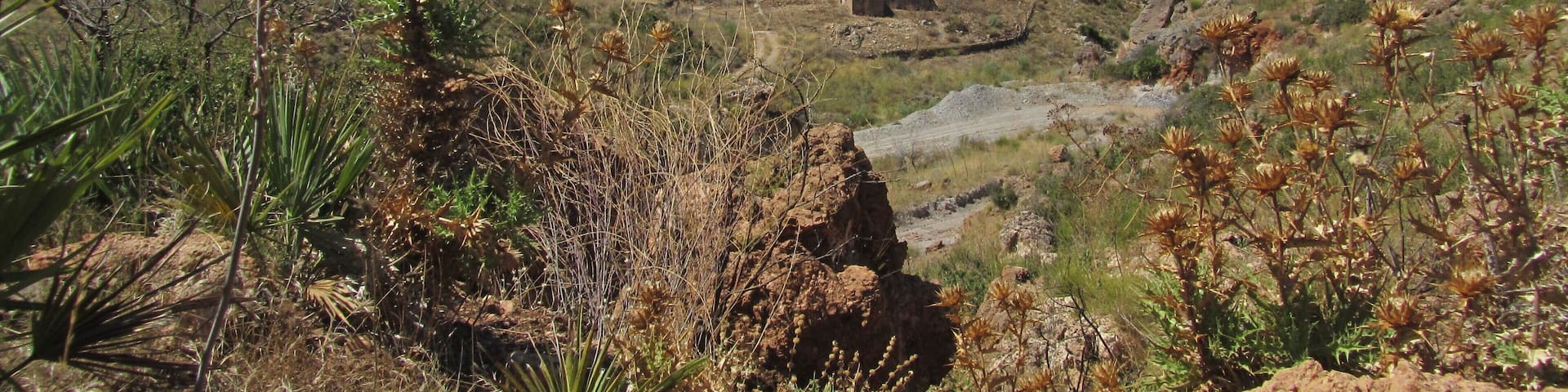 Old houses at Sierra Cabrera