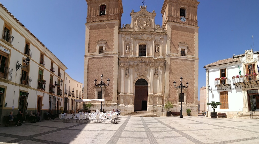 I love sitting in la Plaza drinking Cafe con leche on such a beautiful day #instone