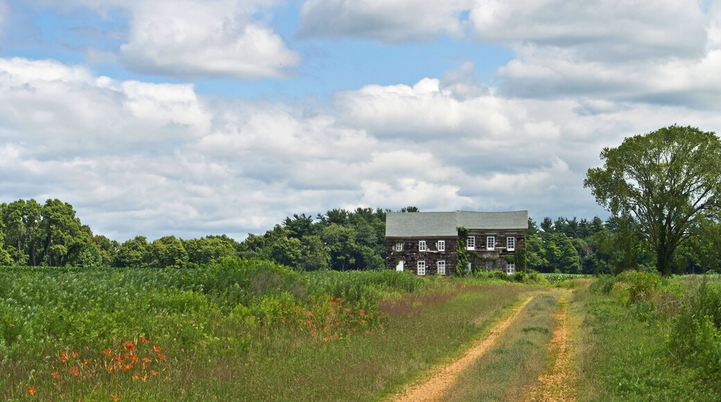 بلدة ميلستون