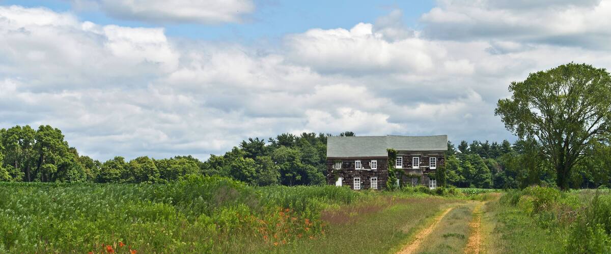 A rural landscape with a dirt path leading to a large stone house surrounded by lush greenery and trees.