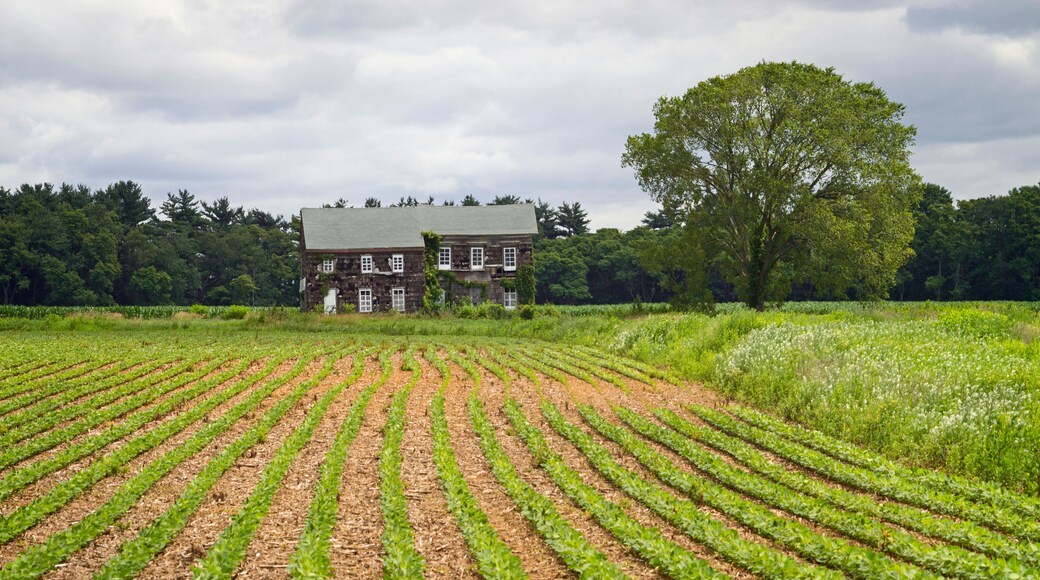 بلدة ميلستون