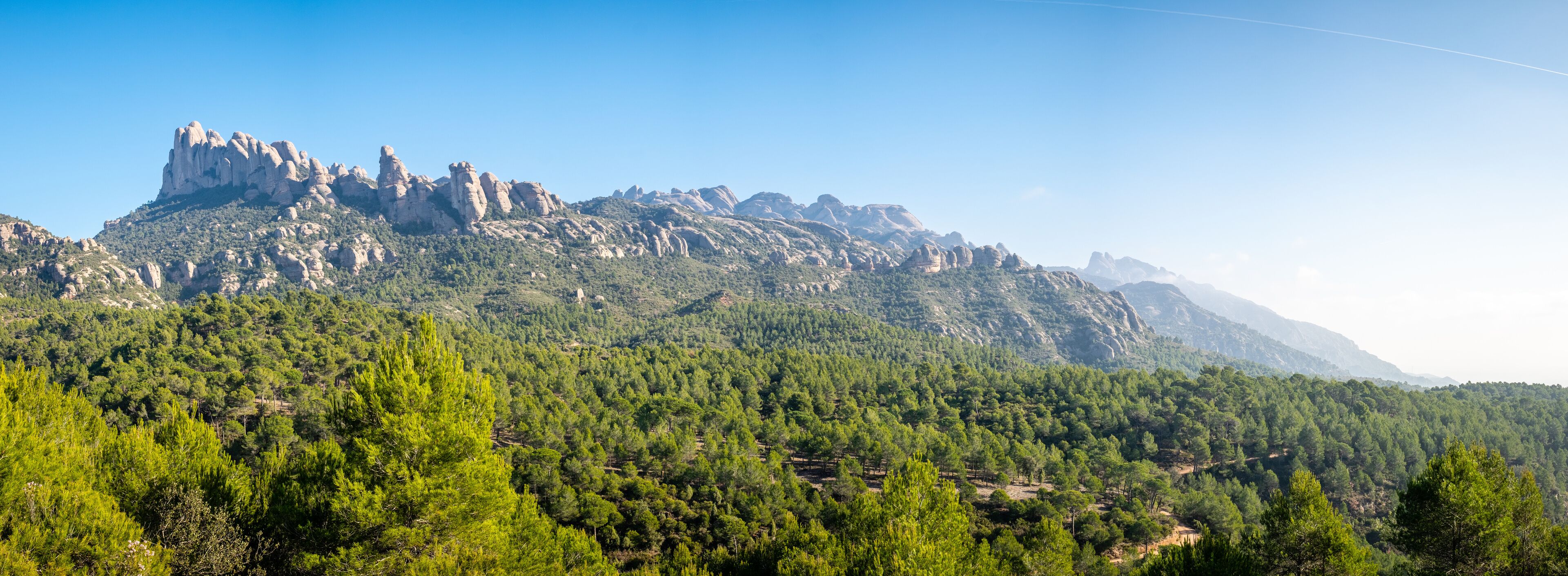 Sant Llorenç d'Hortons