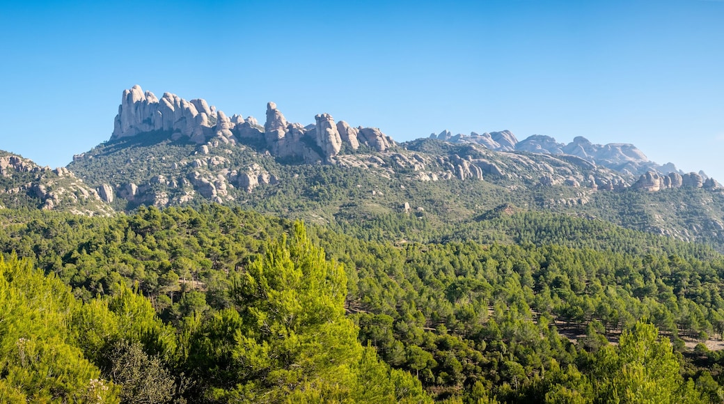 Sant Llorenç d'Hortons